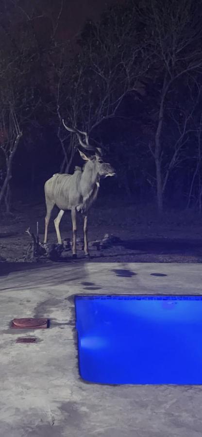 Wild Goose Hotel Marloth Park Luaran gambar